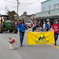 Canine Companions